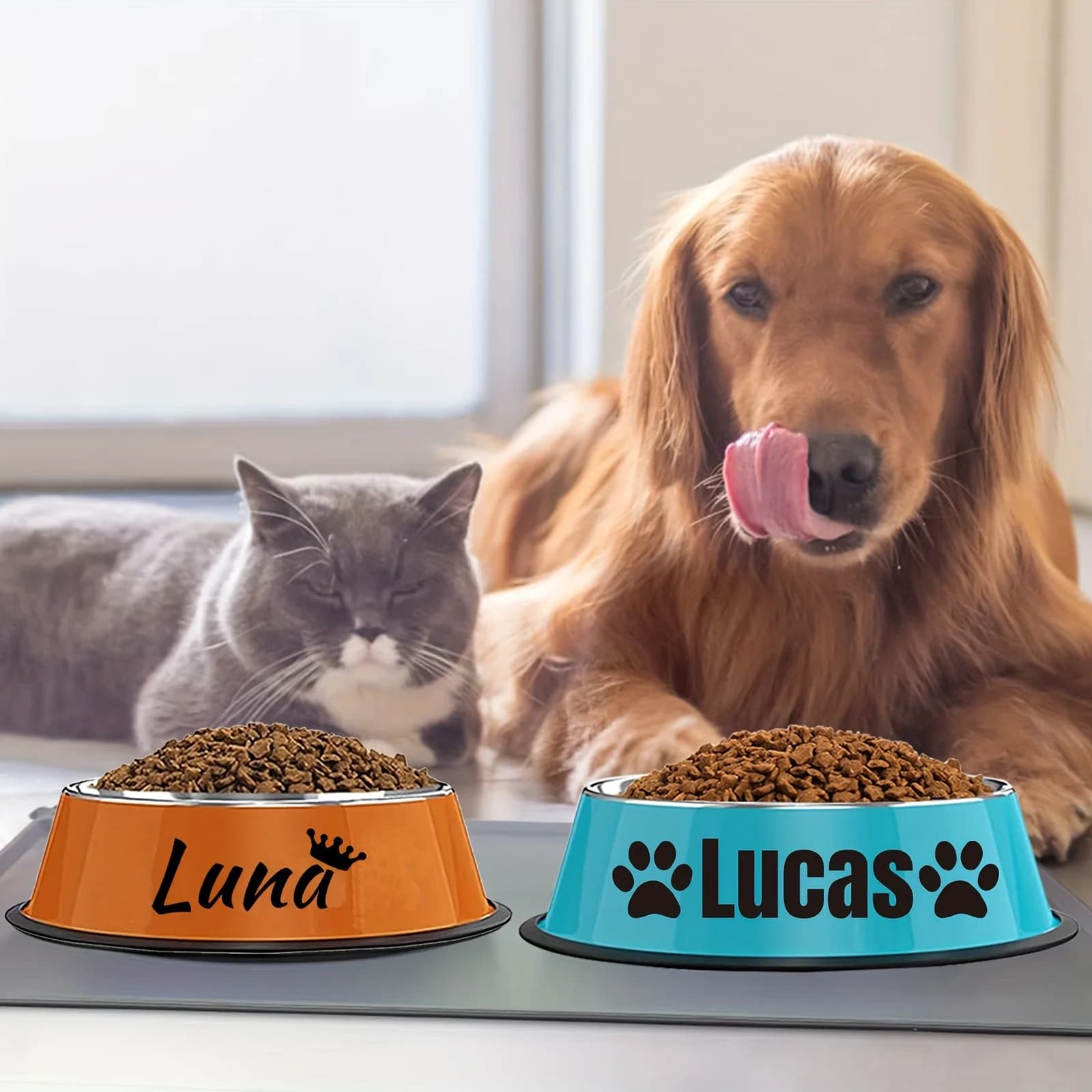 Customizable Stainless Steel Dog & Cat Bowl - Non-Slip, Personalized Pet Food Dish with Your Choice of Name, Colorful Bone & Paw