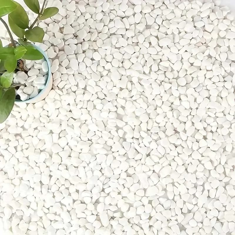 Pietre decorative di ciottoli bianchi per piante - 500 g di rocce naturali di fiume per giardinaggio paesaggistico, succulente e cacti invasatura