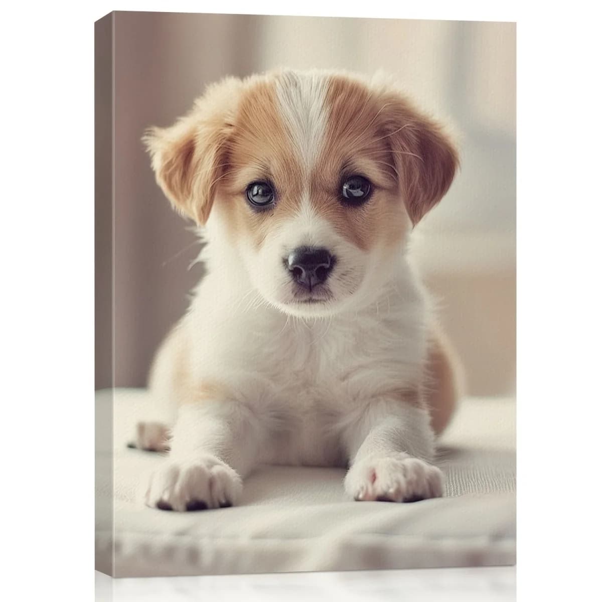 Print your own custom posters, personalized canvas prints of family photos, weddings, anniversaries, movie posters, and modern h