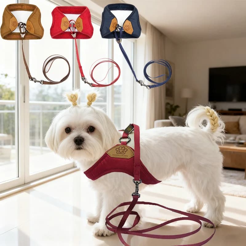 Imbracatura e guinzaglio per cani, adatti per cuccioli e cani di taglia piccola e media, scelta ideale per addestramento, viaggi e uso quotidiano.