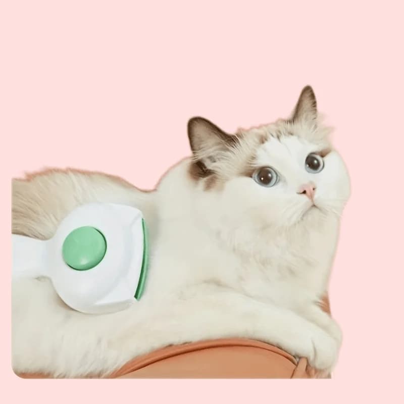 Built-in Wet Wipes Cat Grooming Comb - A Gentle Hair Removal Brush and Pet Hair Removal Tool