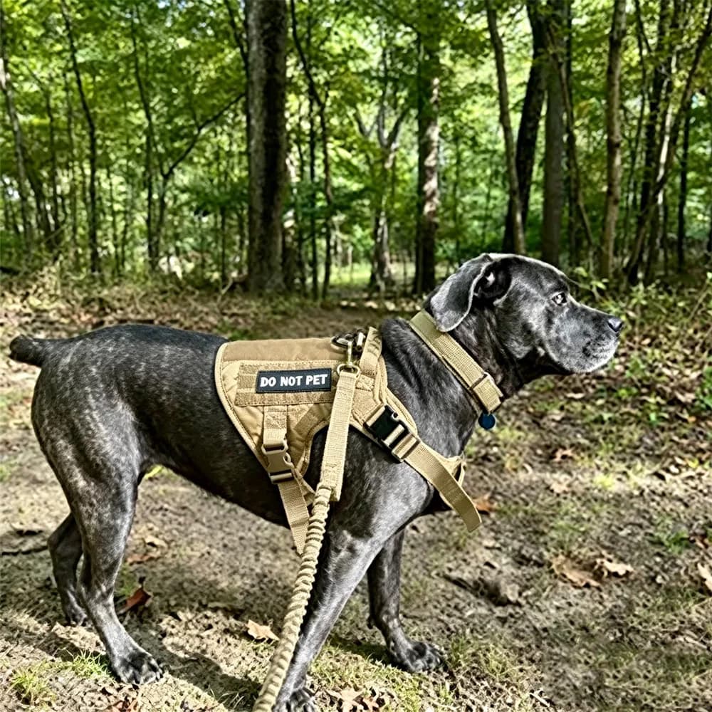 Tactical Dog Harness with Bungee Leash MOLLE Pouches Adjustable No‑Pull Service Dog Vest for Medium Large Dogs Training Walking