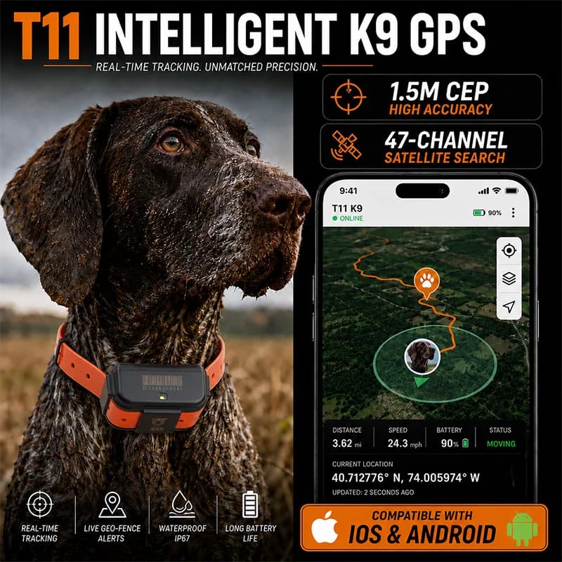 T11 4G GPS Dog Tracker Hunting Dog GPS Collar Waterproof Real Time Pet Locator Long Battery Life Anti Lost Tracker for Hounds