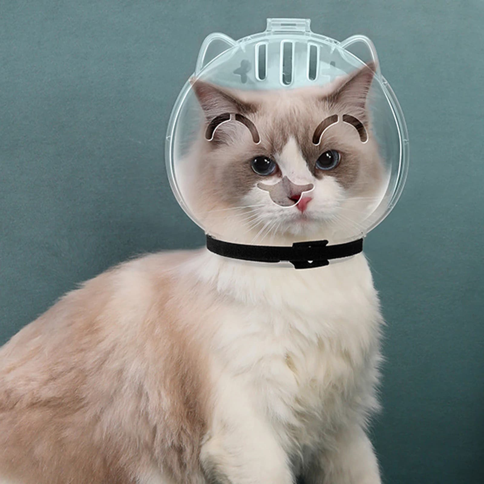 Museruola per gatti traspirante Cappuccio per gatti multiuso Cappuccio per toelettatura anti-morso Felpa con cappuccio morbida per l'allenamento degli animali domestici multifunzionale anti-lick