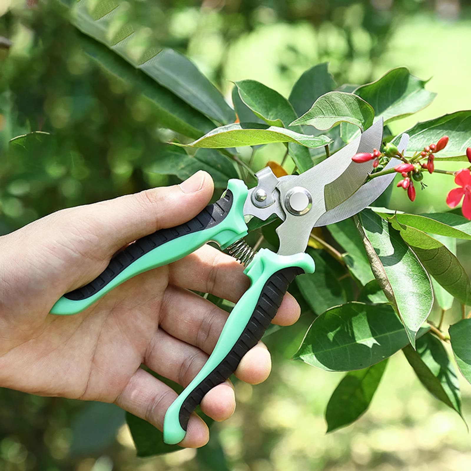 Garden scissors for pruning of branches, tool for pruning of fruit trees, metal garden scissors, hand cutter, garden shears for domestic use