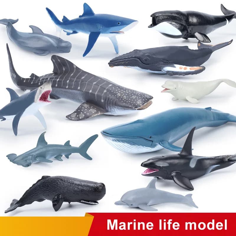 Simulazione Marine Sea Life Balena Figurine Squalo Cachalot Action Figures Ocean Modello animale Delfino Hammerhead Giocattoli educativi