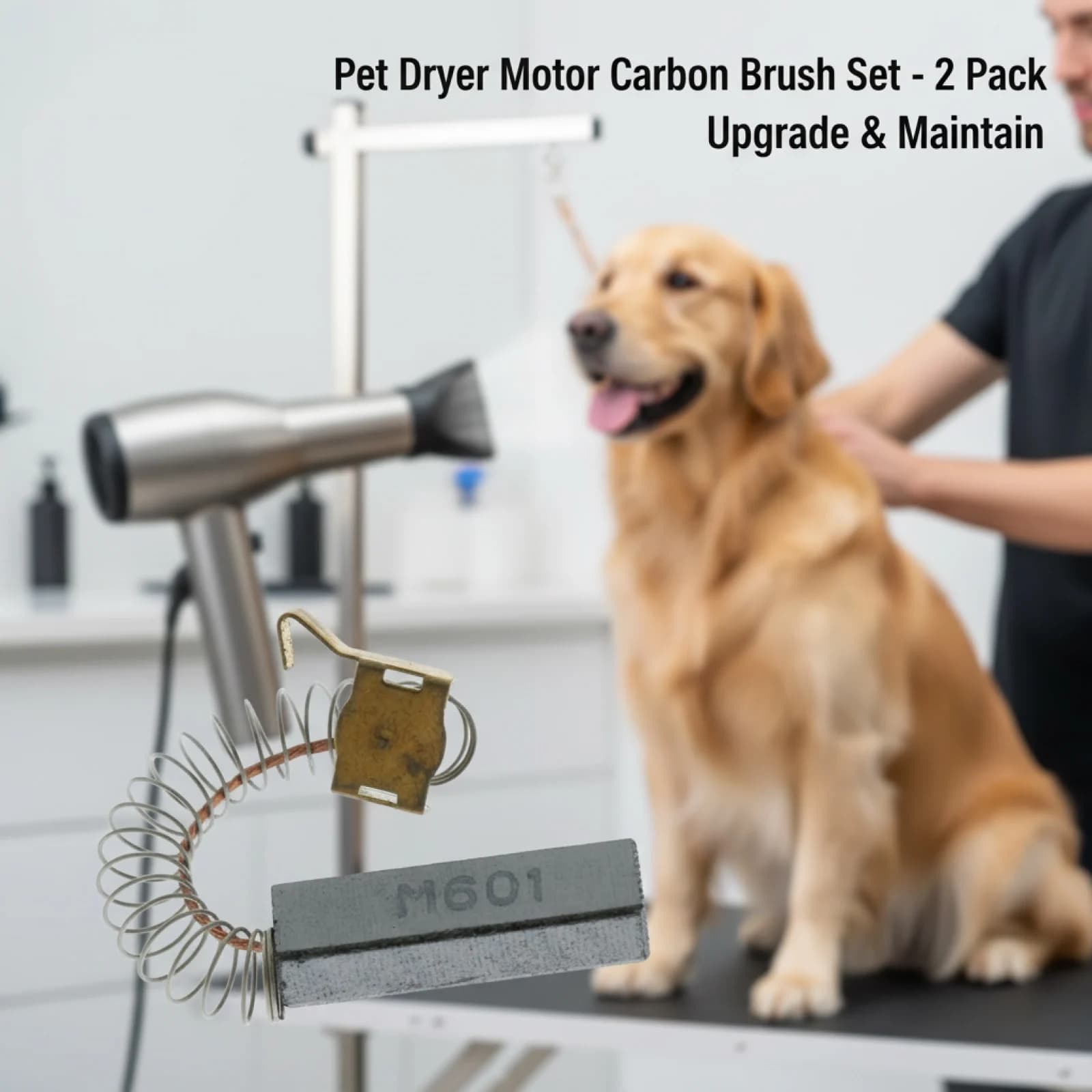 Profesional 2x Spazzola di Carbone di Ricambio per Negozio di Animali Cane Capelli Asciuga Accessori