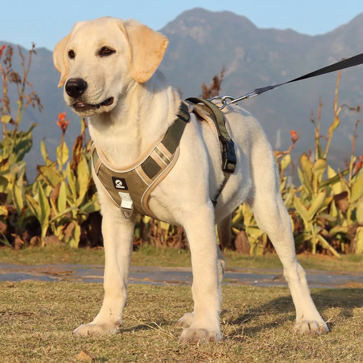Dog Harness Reflective Midium Large Dogs Tactical Vest Big Waterproof Oxford Cloth Dog Harnesses Pet Accessoires Supplies