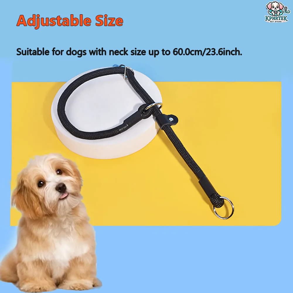 Set collare e guinzaglio a catena P per addestramento del cane Design in terylene durevole E18