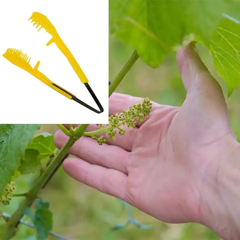 6.69 inch grape pruning tool for thinning hand-made fruit Clips for thinning of grape buds and hand-builder flowers for agricultural gardening plants