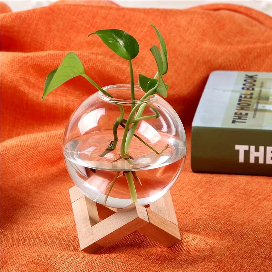 Plant Cultivation Station with a Spherical Glass Pot And Wooden Stand,Suitable for Home Decoration in Living Rooms, And Kitchens