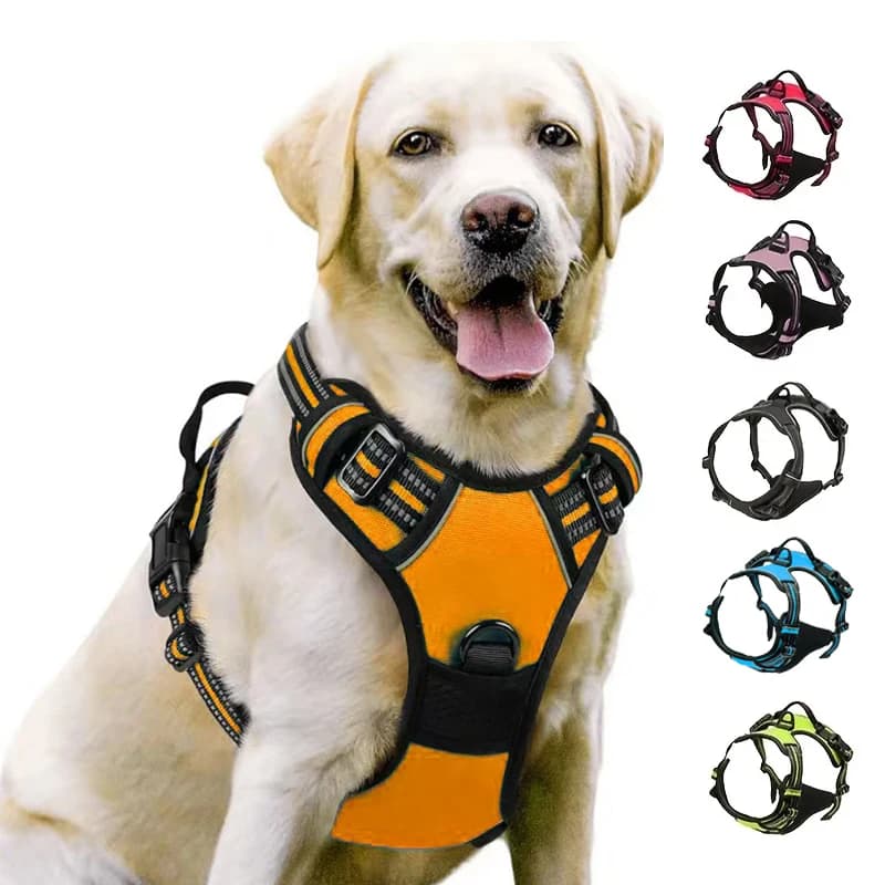 Pettorina per cani senza guinzaglio, fibbia frontale, maniglia riflettente per carichi pesanti, facile da controllare per cani da compagnia, appositamente progettata per wa