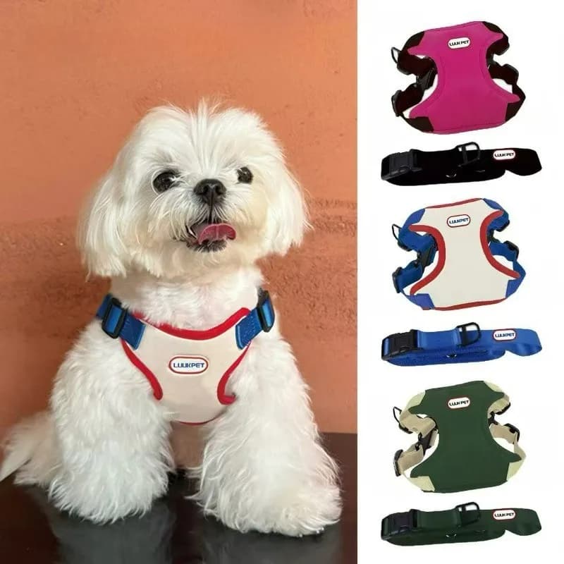 Adjustable Dog Leash Combo, Spill-Proof Pet Chest Harness for Daily Outdoor Walking