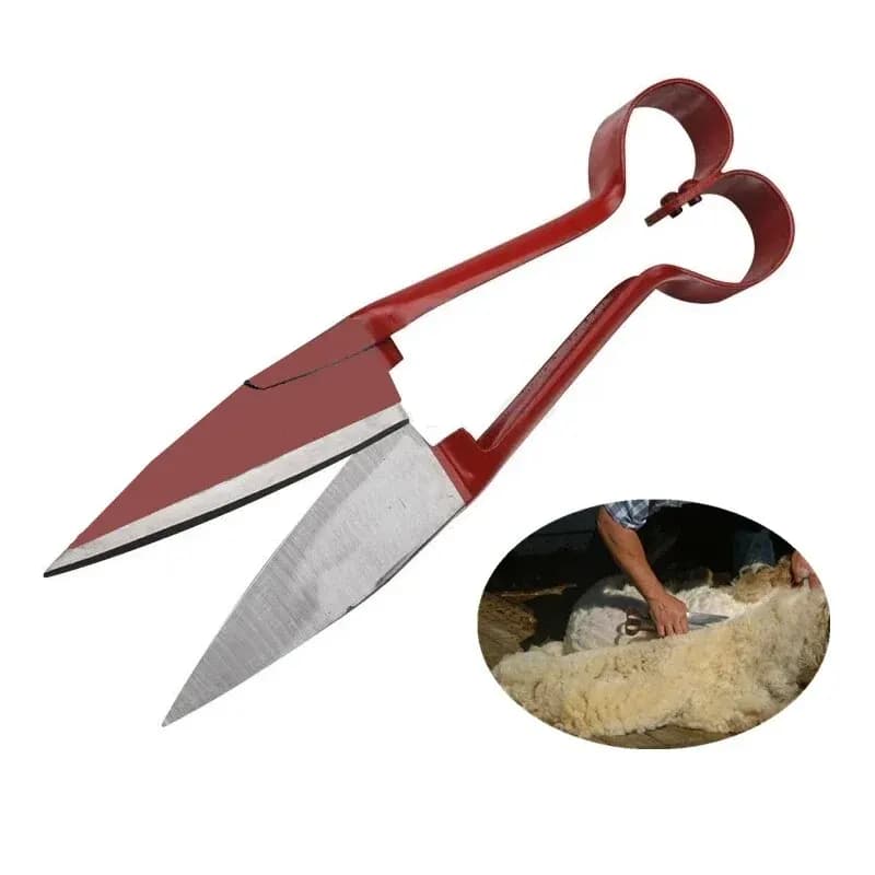 1 Pz Wool shears Garden pruning shears Wool shears Pecore Shears Horse Rabbit Potting shears