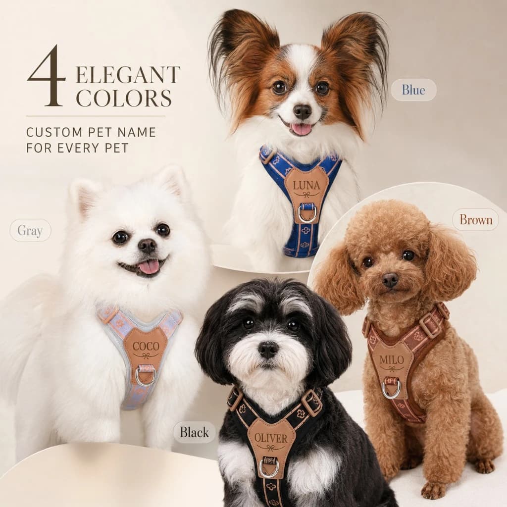 Custom Vintage Dog Harness Laser Engraved Name Plate Adjustable Breathable No-Choke Vest for Small Medium Dogs Walking