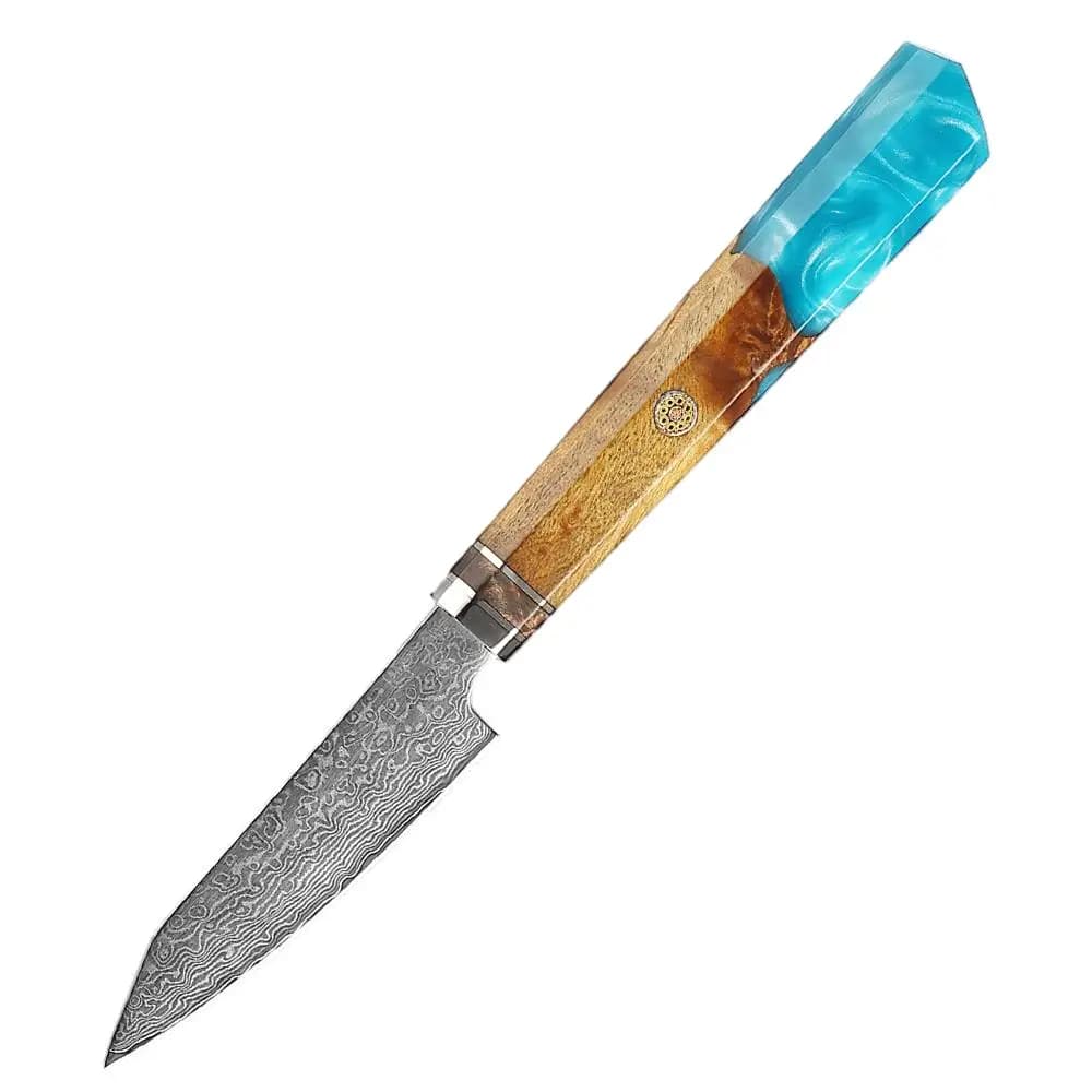 XITUO Damascus Paring Knife Fruit Knife 4 Inch Pro Kitchen Knife Japanese Damascus Steel Fruit Carving Knife Resin & Wood Handle