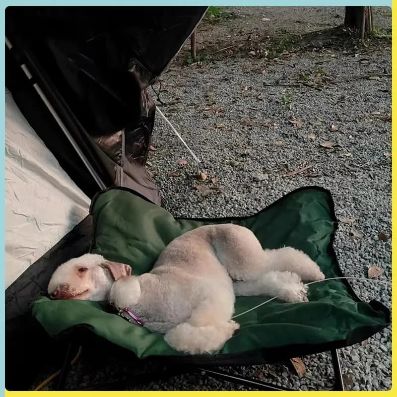 Amaca per cani da esterno Cuscino per sedia da letto per animali domestici Cuscino pieghevole per cuccioli da campeggio Sedia per pranzo Letto per gatti Divano Accessori per animali domestici