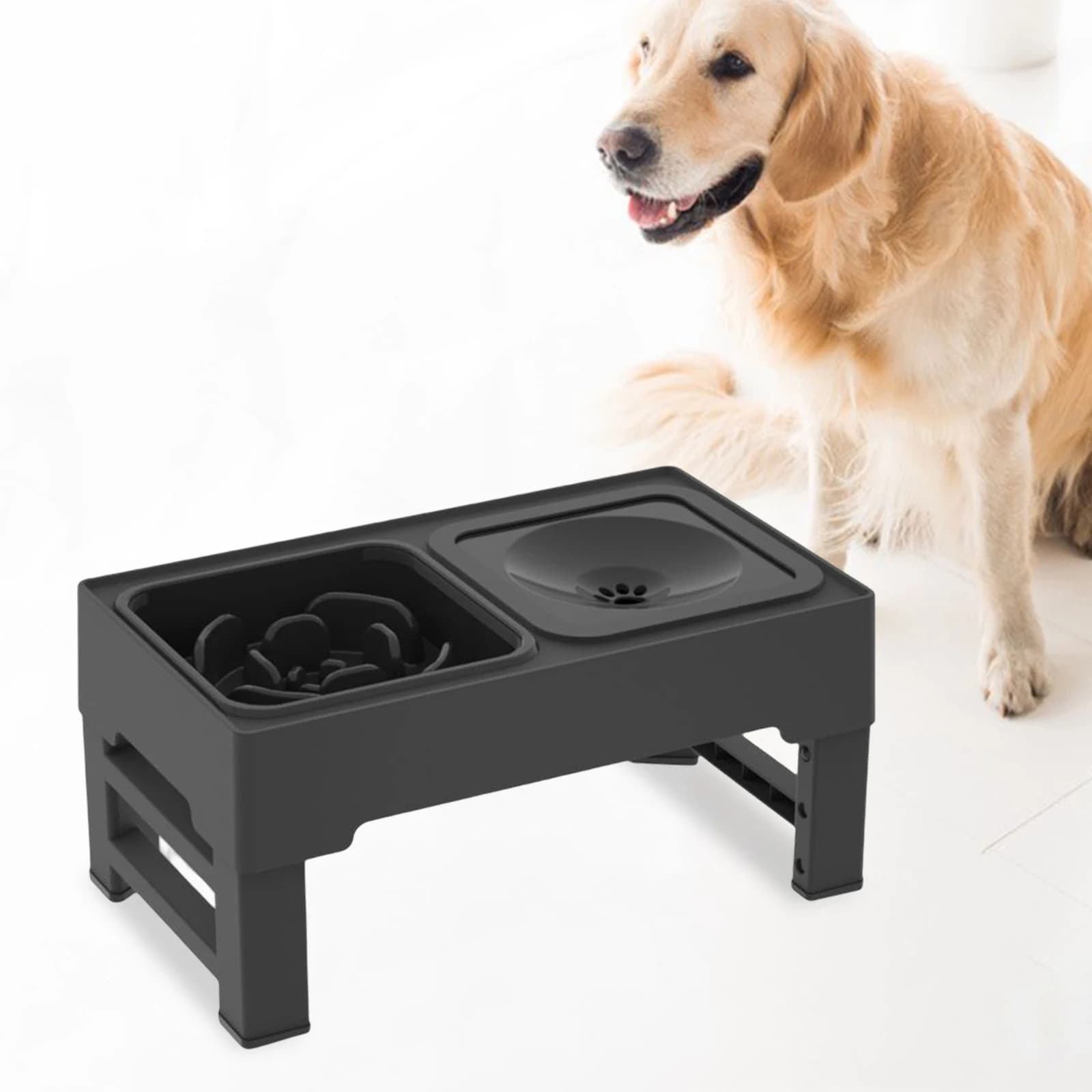 Ciotole per cani rialzate con aste di supporto Ciotole per cibo doppi rialzate per gatti Piatti per acqua Mangiatoia per animali domestici per cuccioli Ciotola per bere regolabile