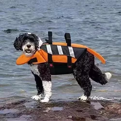 Giubbotto salvataggio per cani con strisce riflettenti e maniglia di sicurezza – Giubbotto da bagno regolabile per cani di piccola taglia