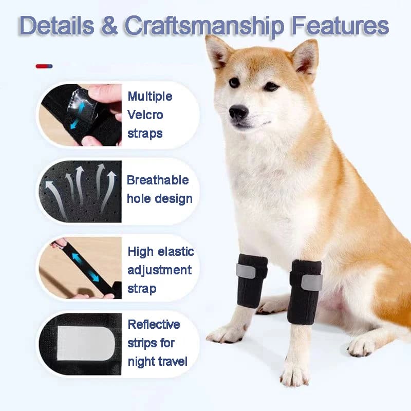 Ginocchiera per cani Manicotti per le gambe anteriori Supporto ausiliario per cani senior Cinghia per il recupero degli infortuni Velcro Fermo regolabile per l'articolazione del ginocchio per cani di piccola taglia