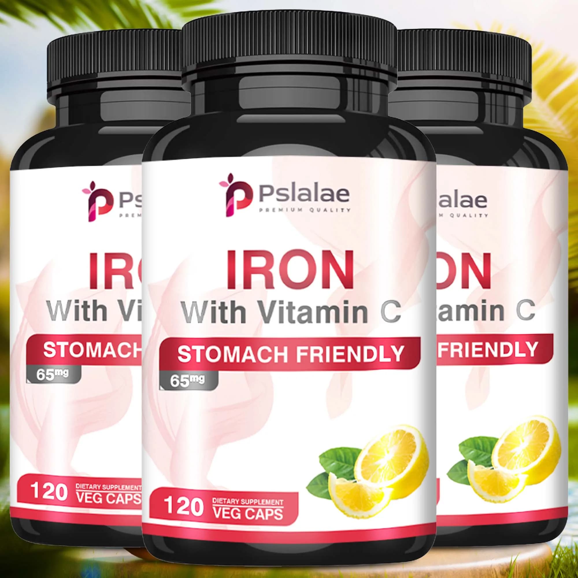 Iron and vitamin C-increase energy, improve focus and improve immune function-120 capsules