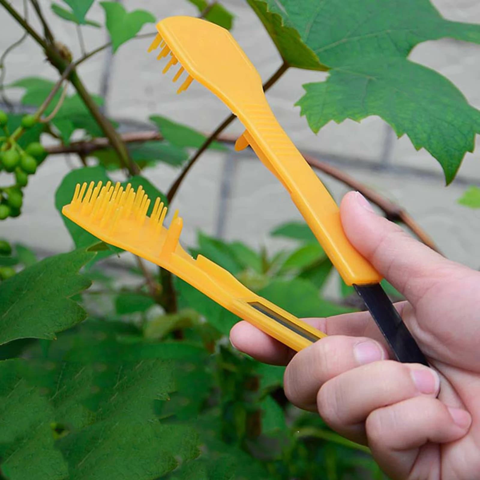 Maniglia per clip per diradamento e potatura del bocciolo d'uva Clip per uva per la gestione del cortile dell'uva senza semi Strumenti per clip per diradamento del fiore dell'uva della frutta