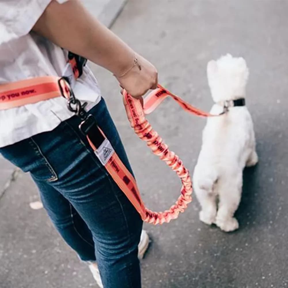 Guinzaglio per Cani in Nylon con Cintura Riflettente per Fitness, Ideale per Proprietari di Cani e Attività all'Aperto