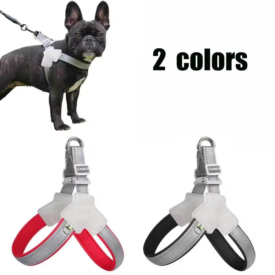 Guinzaglio per gilet per cani Guinzaglio per pettorina adatto per cani Shiba Inus Corgis Bichon Frises e Teddy di piccole e medie dimensioni.