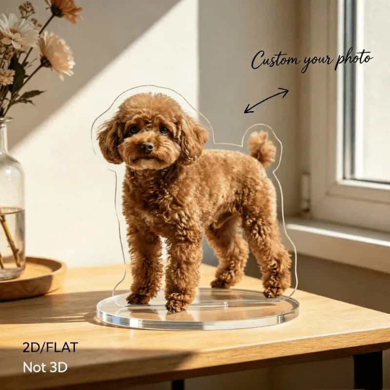 Create 2D/flat exclusive acrylic standees, two-dimensional desktop collectibles, with a round transparent base for display