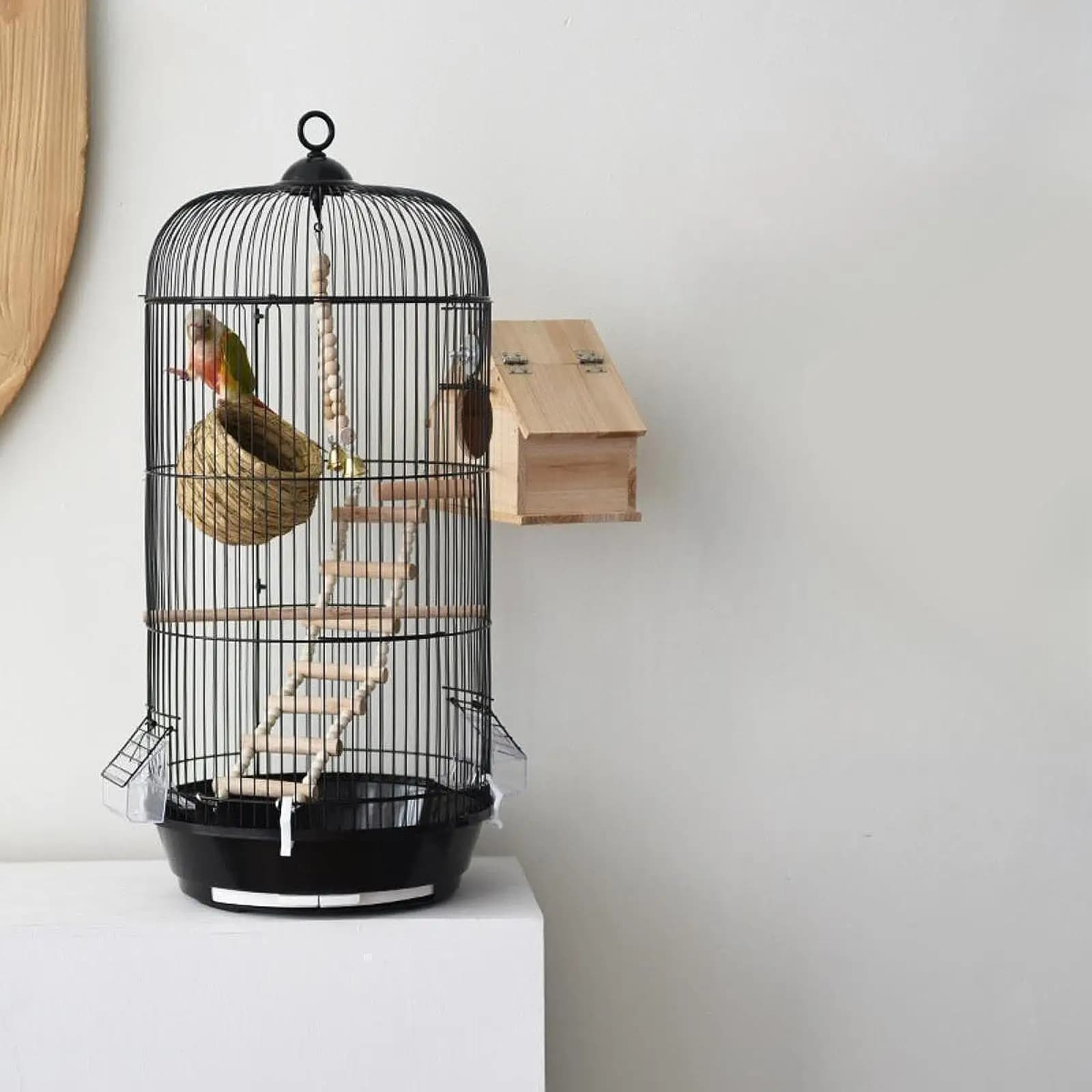 Gabbia per uccelli artistica Casetta per uccelli Maglia ventilata Forniture per animali domestici Gabbia per parrocchetti rotonda per uccelli piccoli Pinne Cockatiel canarino
