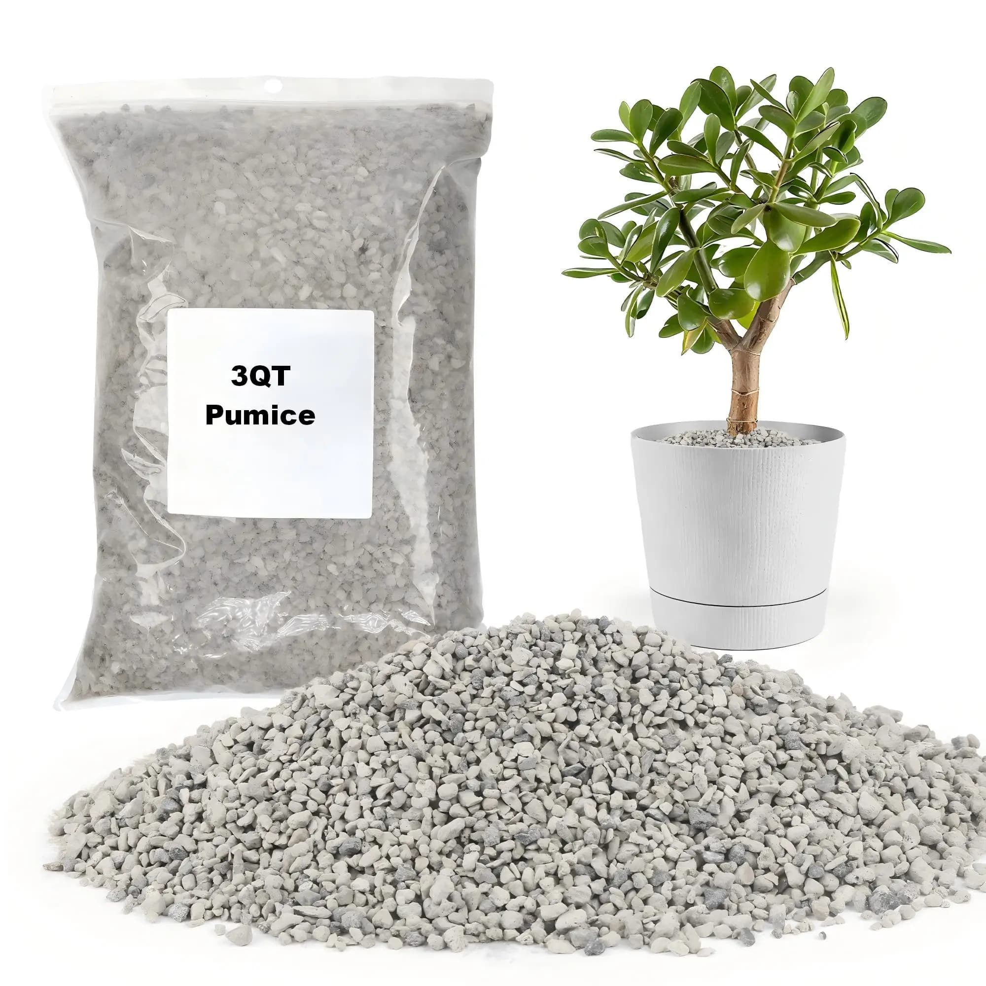 Pietra Pomice per Piante, Pietra Pomice Orticola, Miglioratore Naturale del Terreno per Succulente, Cactus, Bonsai e Orchidee, per Miscela di Terriccio, Migliora Drenaggio e Aerazione