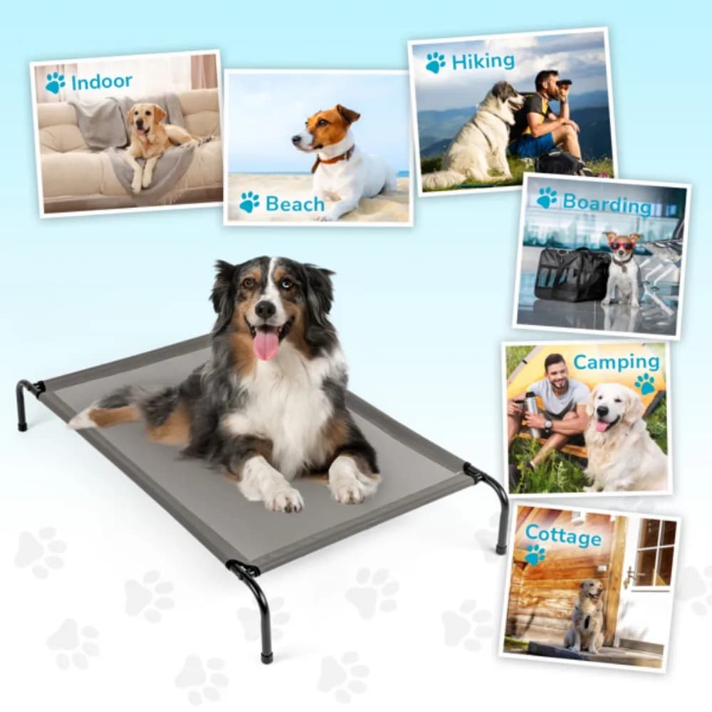 Lettino per animali portatile assemblato per gatti e cani per l'allenamento in campeggio per picnic all'aperto e interni