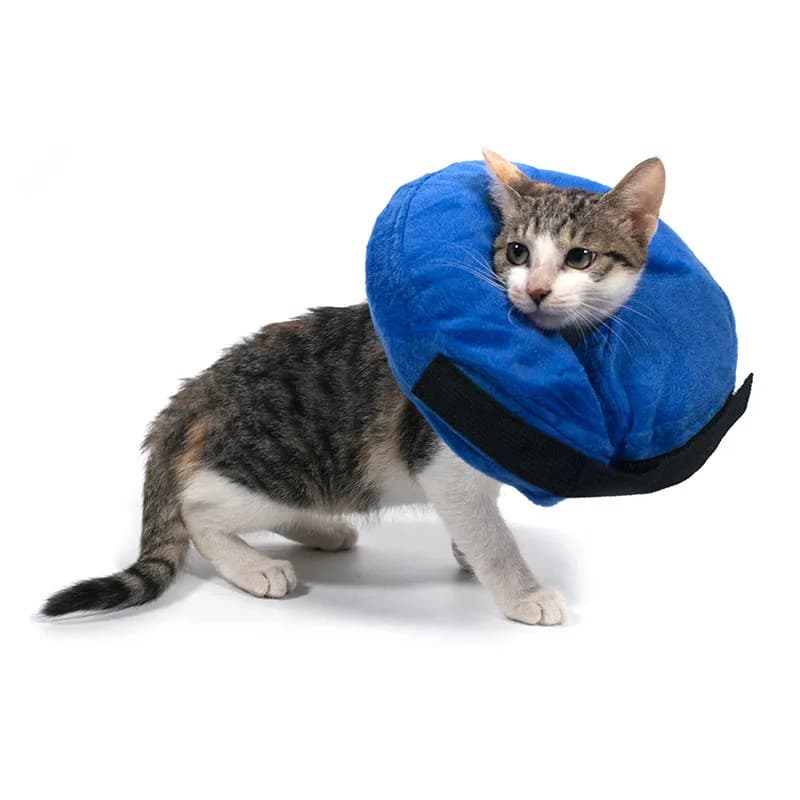 Collare Dell'animale Domestico Del cane Gonfiabile Anti-morso Recupero Infortunio Chirurgia del Collo di Protezione Cono Anti-smashing Neck Circle per le Piccole cane di grandi dimensioni