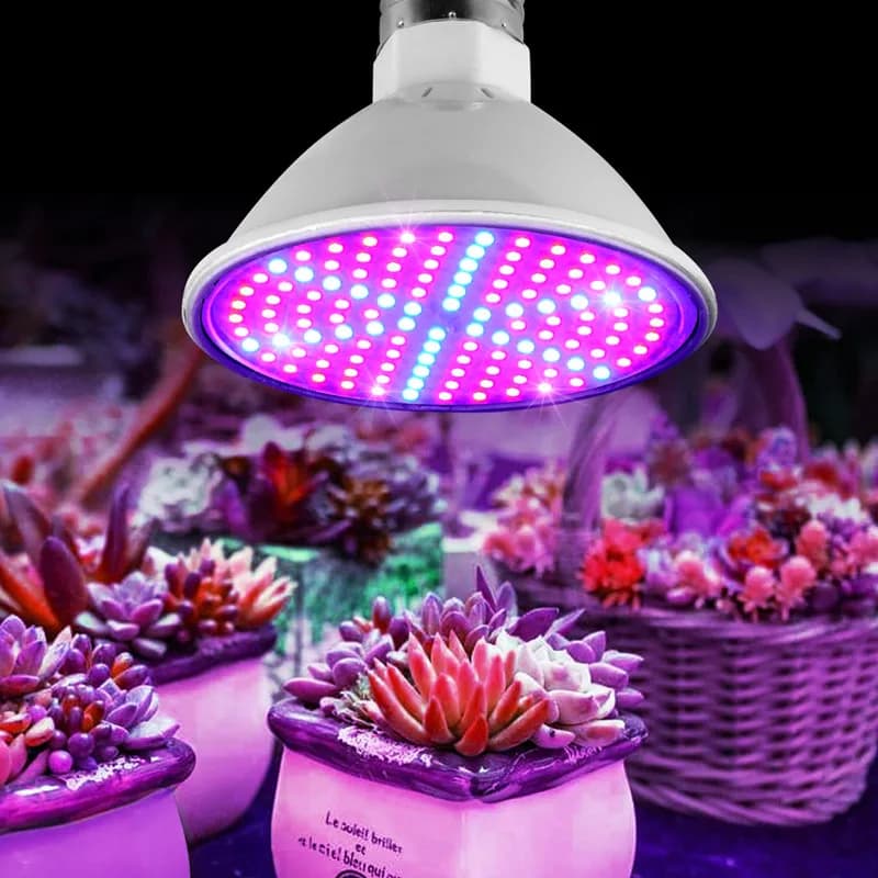 Complete Spectro Coltiva Plant LED bulbs Lighting lamp for hydroseeds Flower Serra Vegetale Garden Interior E27 phyto growbox