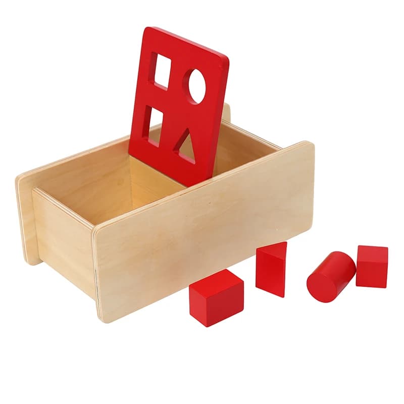 Gioco di Abbinamento Forme, Giocattoli Educativi per Bambini 1-2 Anni, Scatola Montessori Imbucare con Coperchio Ribaltabile, Pratica di Abilità Motorie Fini