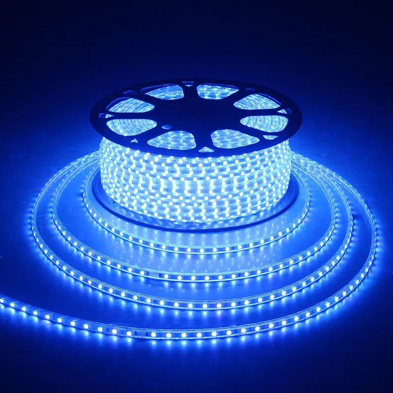 LED Strip Waterproof Blue AC 220V Strip LED Ribbon RGB 5050 LED Tape Flexible Lighting With Plug EU 5m 10m 15m 25m 30m