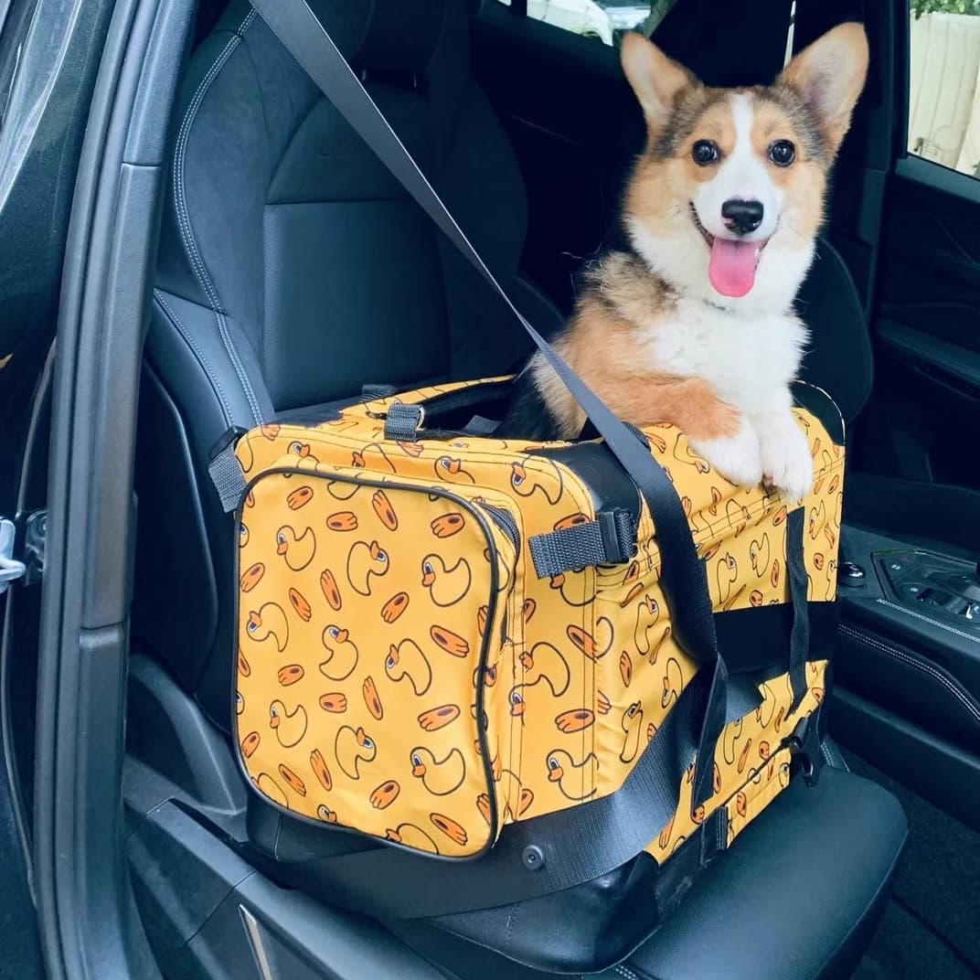 Grande borsa da trasporto per auto per cani da compagnia Borse pieghevoli in rete impermeabili da trasporto Cestino per gatti Tappetino da viaggio Gabbia per cuccioli