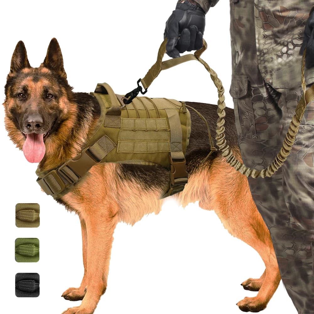 Tattico militare Del Cane del Fascio di Maglia K9 di Lavoro di Cane di Nylon Attrezzature Bungee Guinzaglio Piombo Formazione Corsa E Jogging Per Medium Large Cani Da Pastore Tedesco