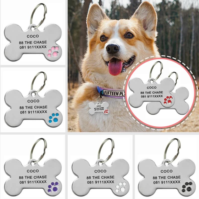 Incisione personalizzata Identificazione targhetta identificativa per cani anti-smarrimento Nome personalizzato dell'animale domestico Collare per cuccioli Tag per cani e gatti Forniture per animali domestici