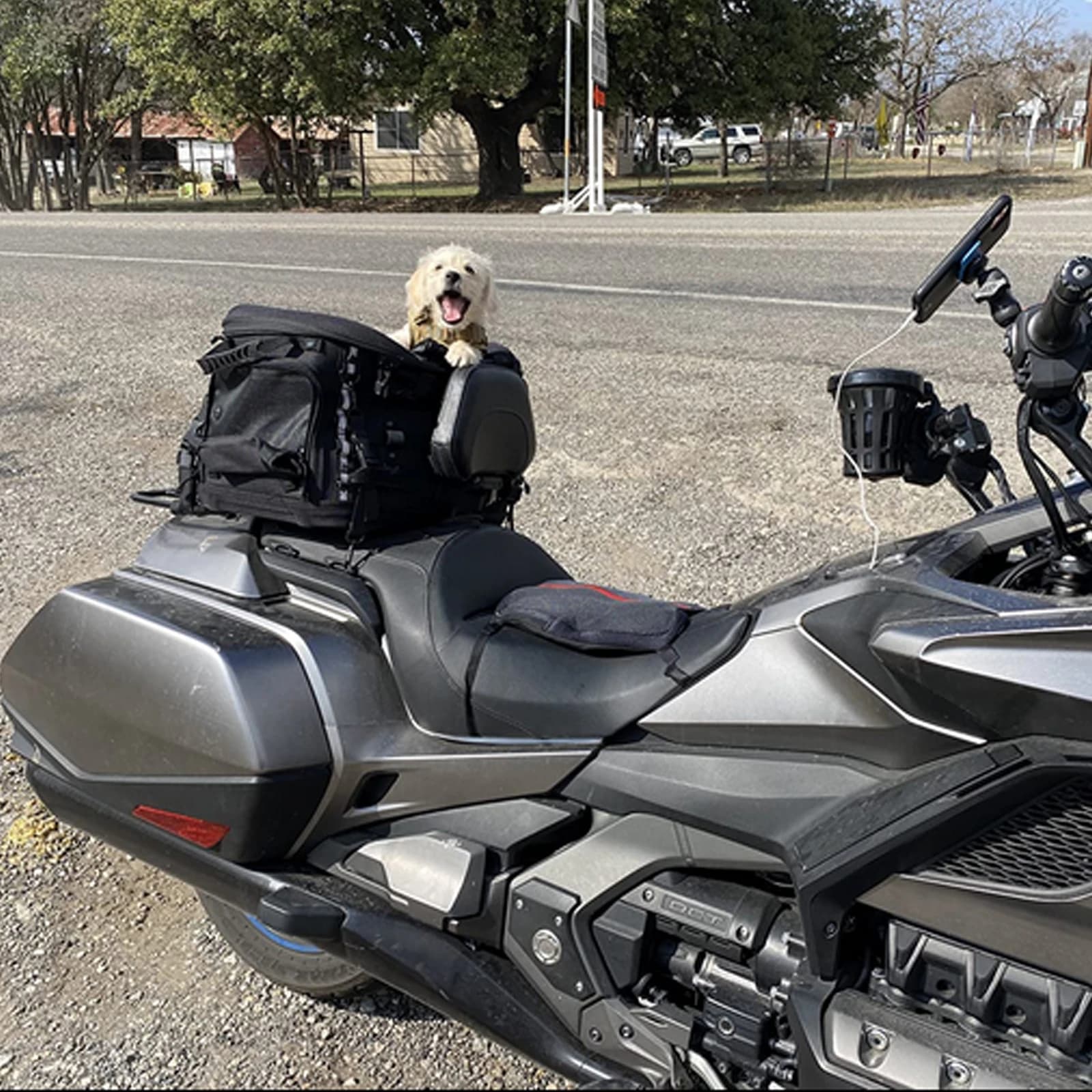 Portapacchi universale per seggiolino passeggero da viaggio per cani e gatti per moto per modello Trike da turismo YAMAHA Kawasaki