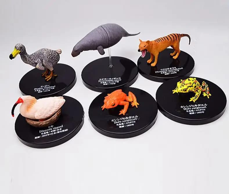mini figura in pvc Simulazione animale estinzione animale allevatore di alghe freccia rana borsa lupo 5 pezzi / set