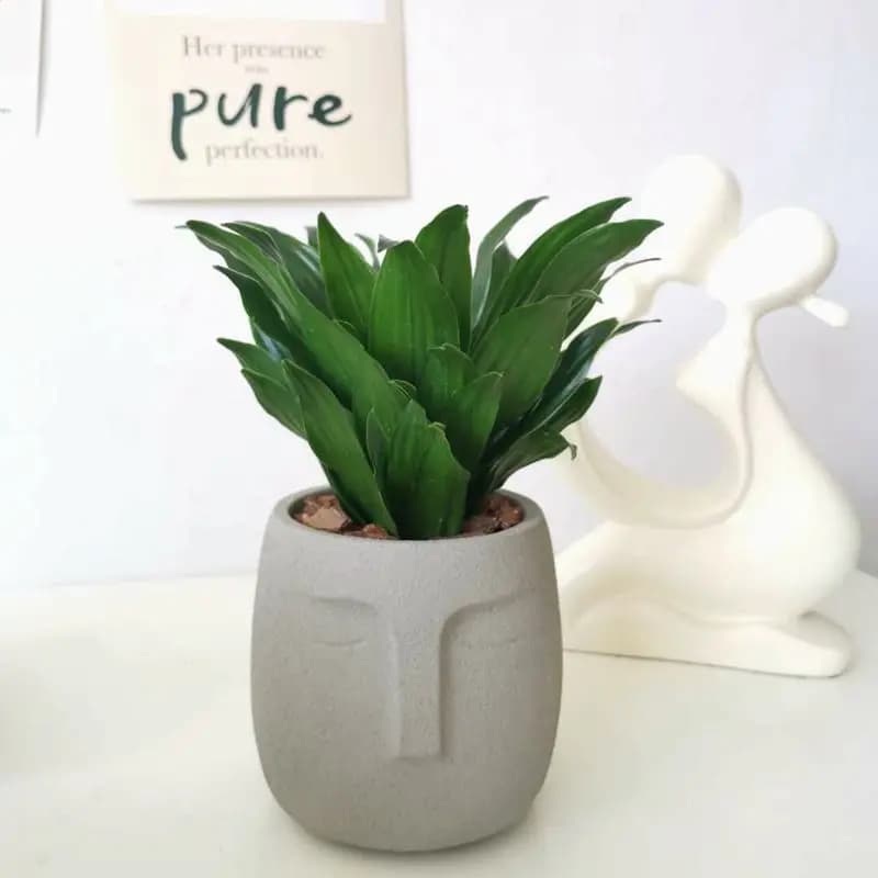 Stampo per vaso di fiori in cemento per il viso Stampo in cemento siliconico fatto a mano utilizzato per piante grasse Nuovo stampo in cemento organico