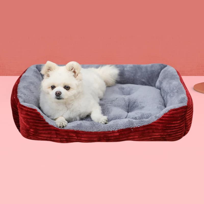 Calda casa per cani Nido morbido Pet Cestino per letti per cani di grandi dimensioni Cuccia per gatti per gatti Lavabile per casa Forniture per cuccioli Tappetino per cuccia in cotone