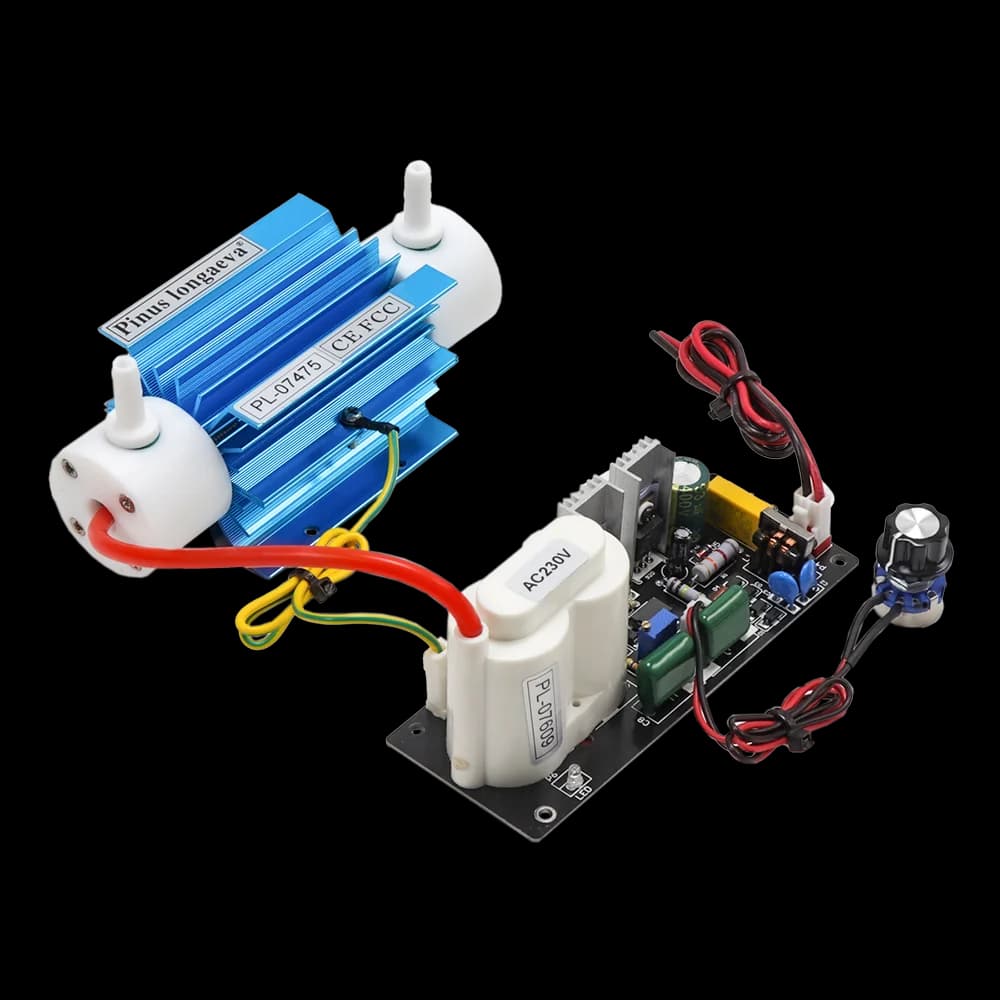 CE FCC ROHS Pinus longaeva 5G/H 5 grammi generatore di ozono regolabile Kit modulo di disinfezione dell'acqua potabile ozono Gerador de ozono