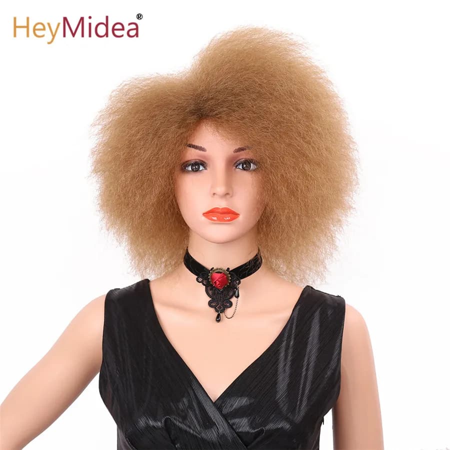 Afro Kinky Curly Wig for Black Women 6inch Short Curly Wigs Synthetic Wigs Heat Resistant African Curly Full Wigs HeyMidea