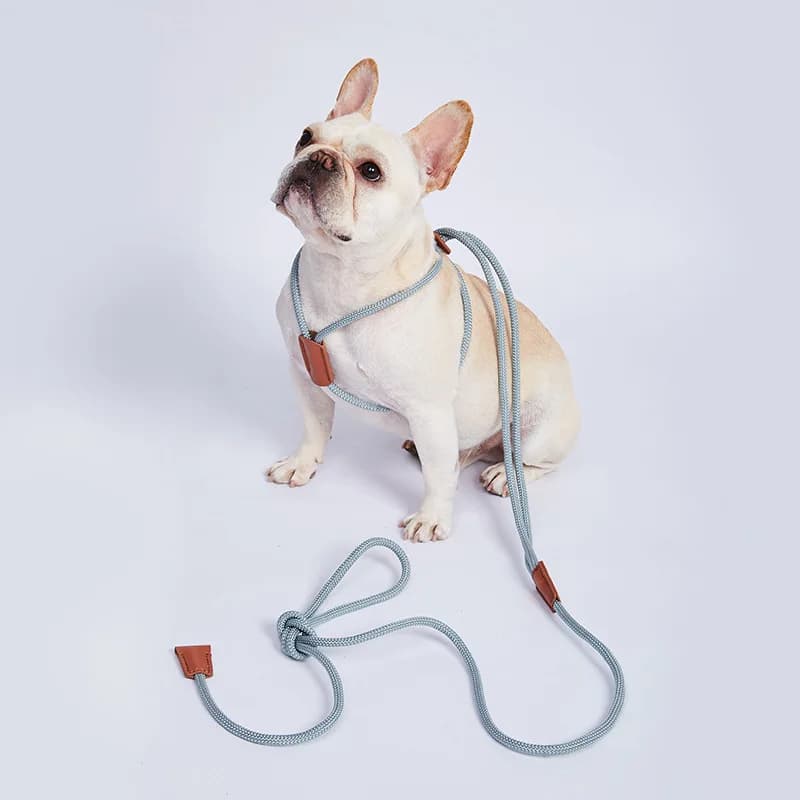 Guinzaglio per imbracatura per cani in Nylon per cani di taglia media