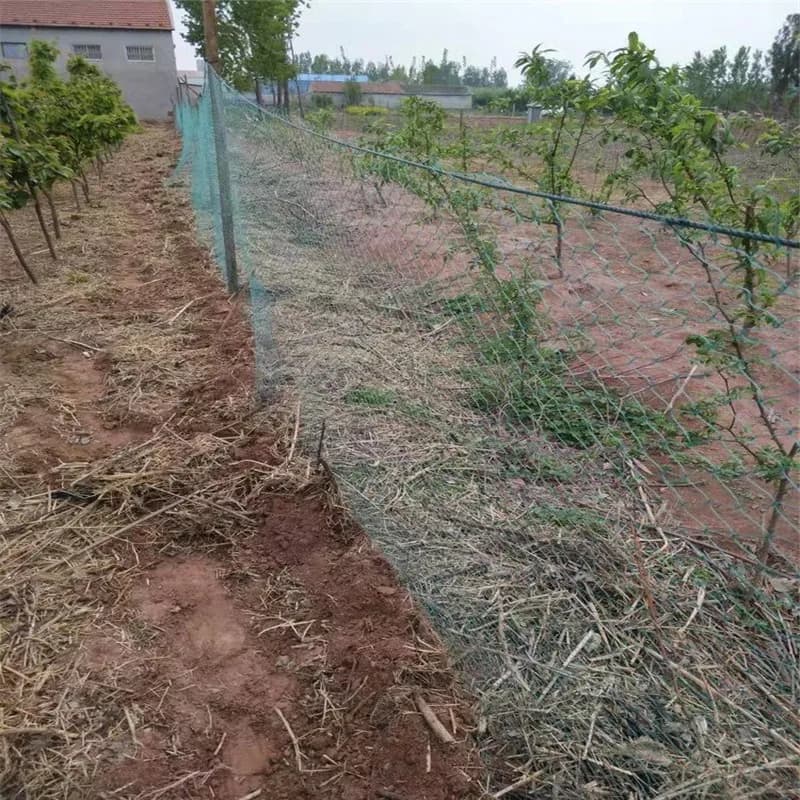 12-18 fili Versatile Rete da giardinaggio Pollo e anatra Gabbia per allevamento Pianta Arrampicata Protezione Supporto Recinzione Rete da pesca