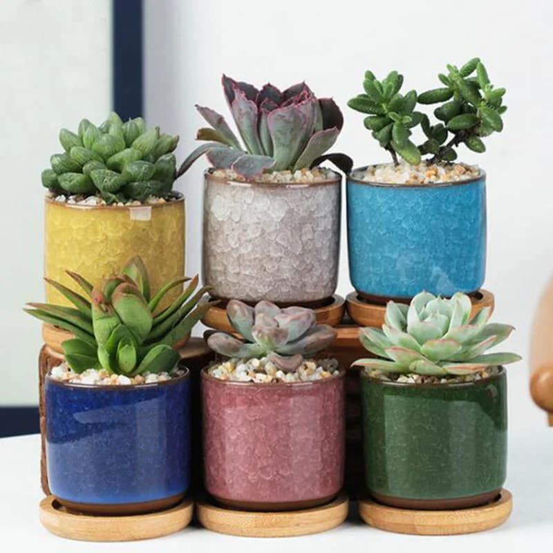 6 pz/set Vaso di Fiori In Ceramica Set Mini Pollici Pianta Succulente Vaso Fioriera Gufo Animale Vaso Giardino Decorazioni Per La Casa Pacchetto Sicuro
