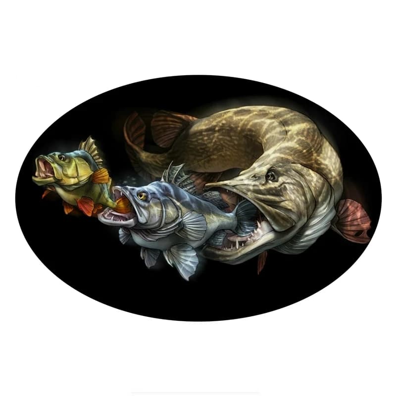 S50243#13/15/17CM Personality PVC Decal Fish Car Sticker on Motorcycle Laptop Decorative Accessories