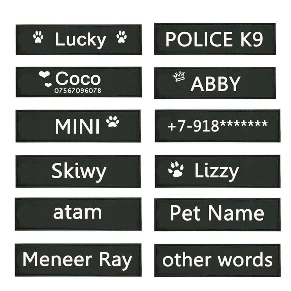 Etichette personalizzate per cani e gatti per imbracatura/collare/gilet toppe personalizzate per etichette per animali domestici per collare con supporto sostituibile
